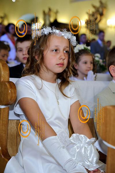 DSC_1386.jpg